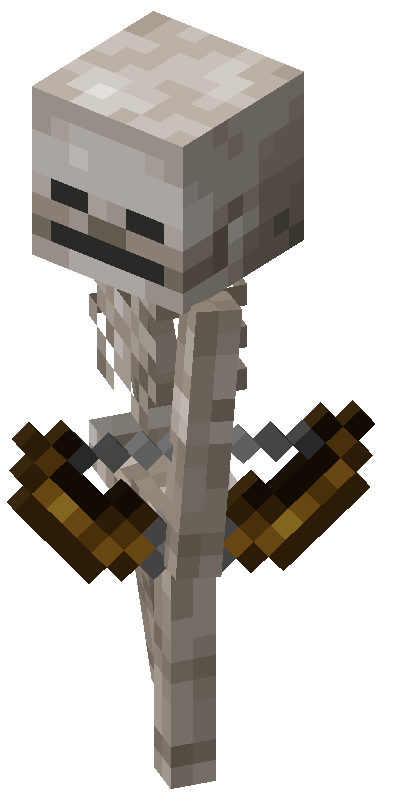 Skeleton