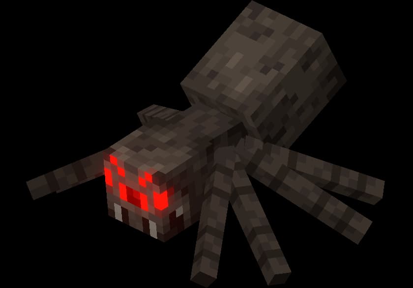 Spider