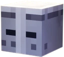 Protector Helmet icon